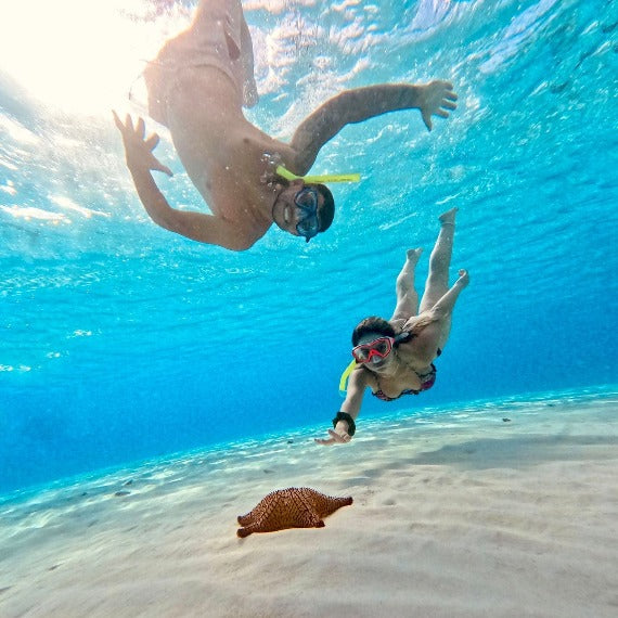 Snorkel en El Cielo Cozumel con la aventura de las estrellas de mar